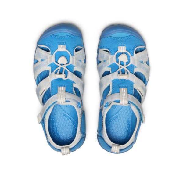 Big Kids' Seacamp II CNX  |  Azure Blue/Star White