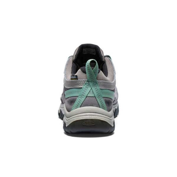Women's Targhee IV Waterproof Hiking Shoe  |  Alloy/Granite Green