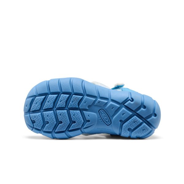 Little Kids' Seacamp II CNX  |  Azure Blue/Star White