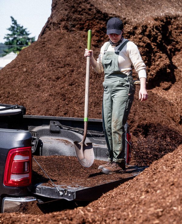 Women's Skokie Waterproof Work Boot (Carbon Toe)  |  Bison/Black