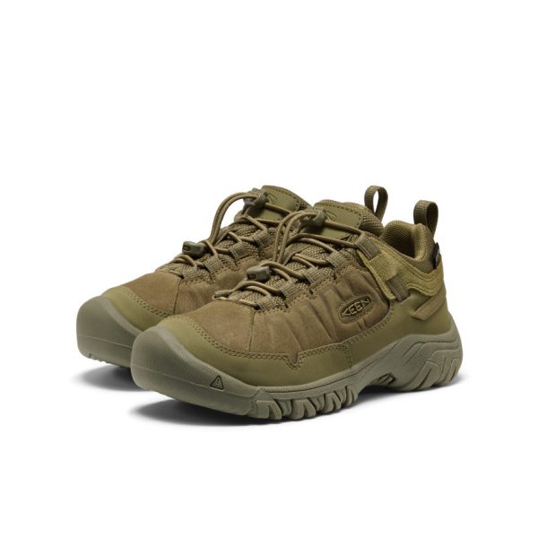 Big Kids' Targhee IV Waterproof Hiking Shoe  |  Martini Olive