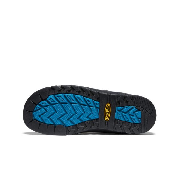 Men's Jasper Rocks Sneaker  |  Safari/Fjord Blue