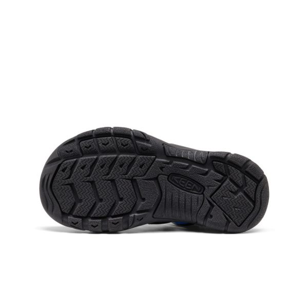 Big Kids' Newport Boundless Sandal  |  Black/Precious Blue